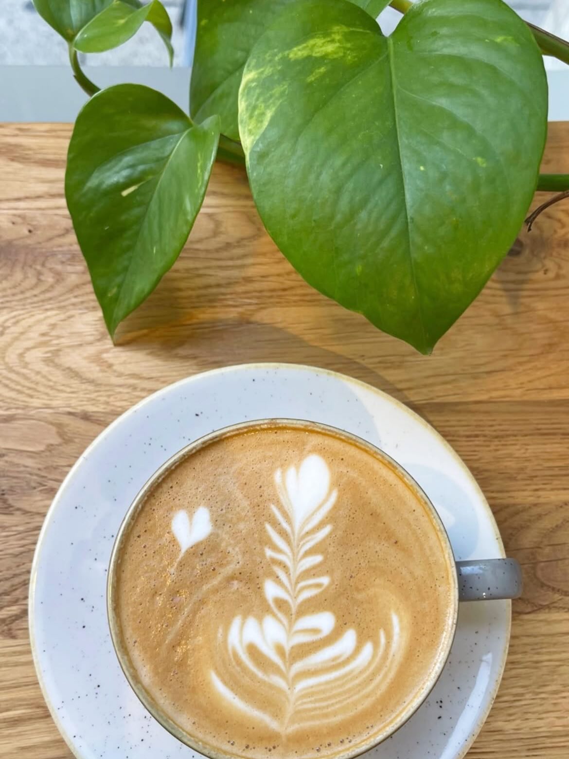 Flat white with leaf latte art beside a houseplant