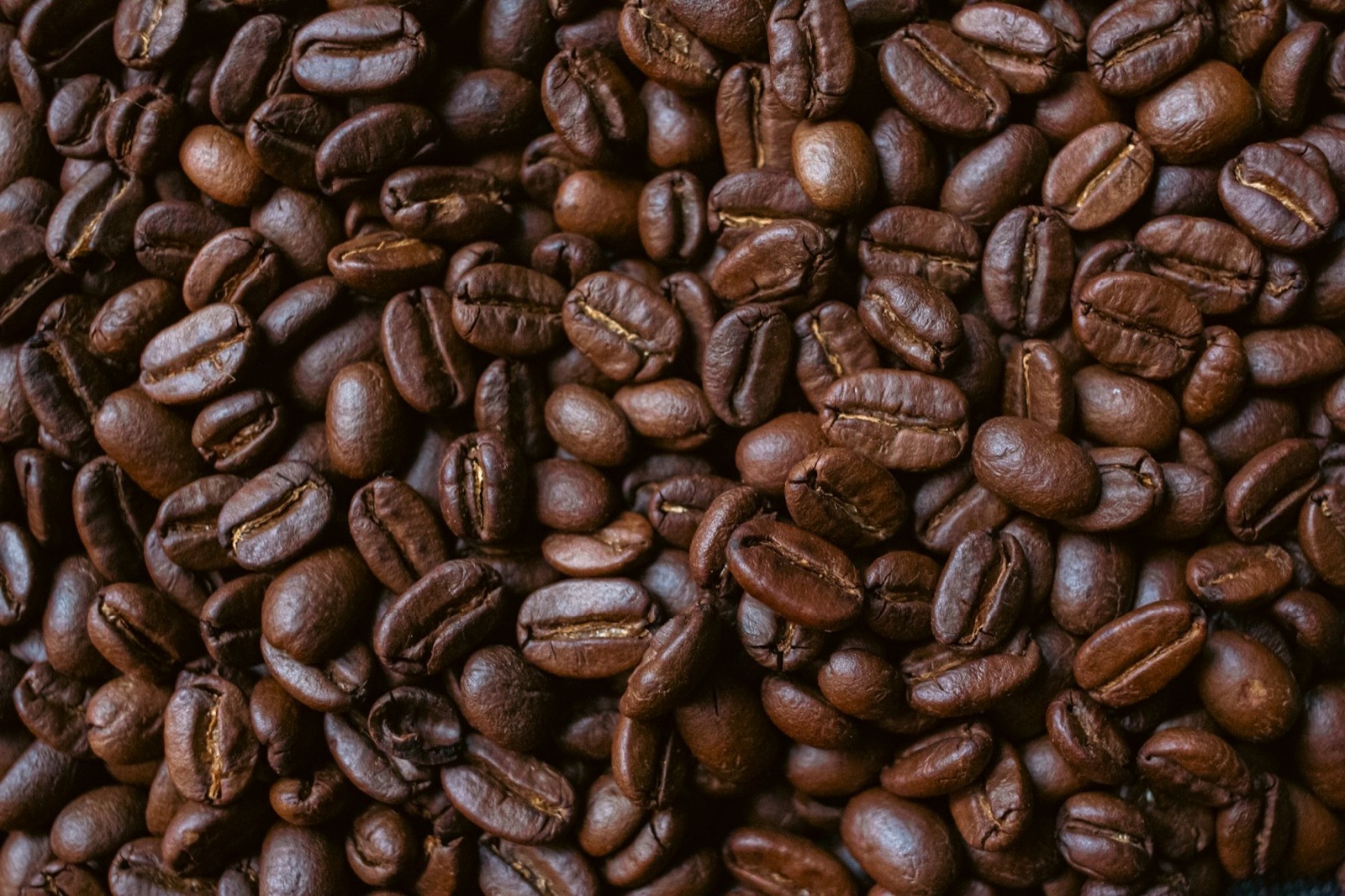 Roasted coffee beans